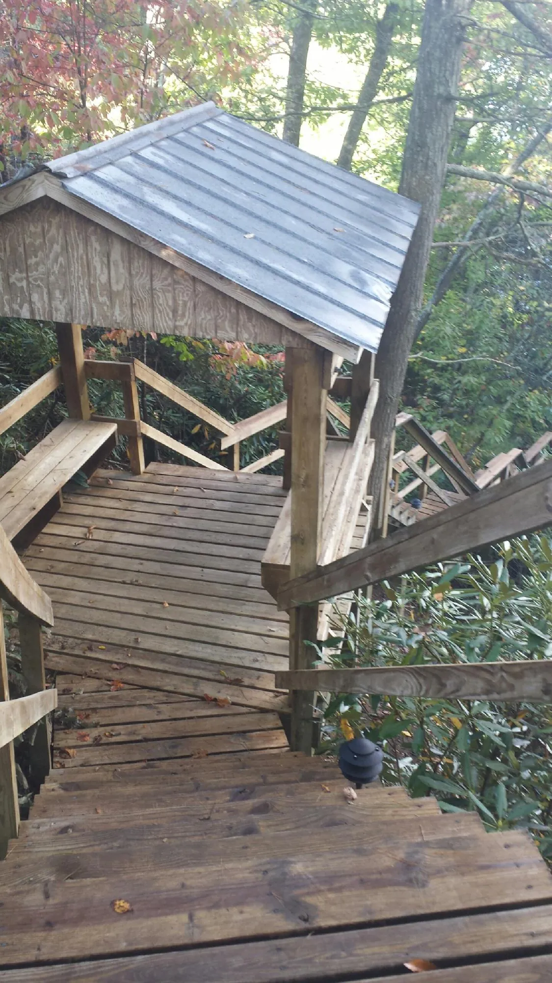 Metal roofed shelter over wooden steps on a wooded walkway — Skylight Repair & Installation work by our crew in Glenoma