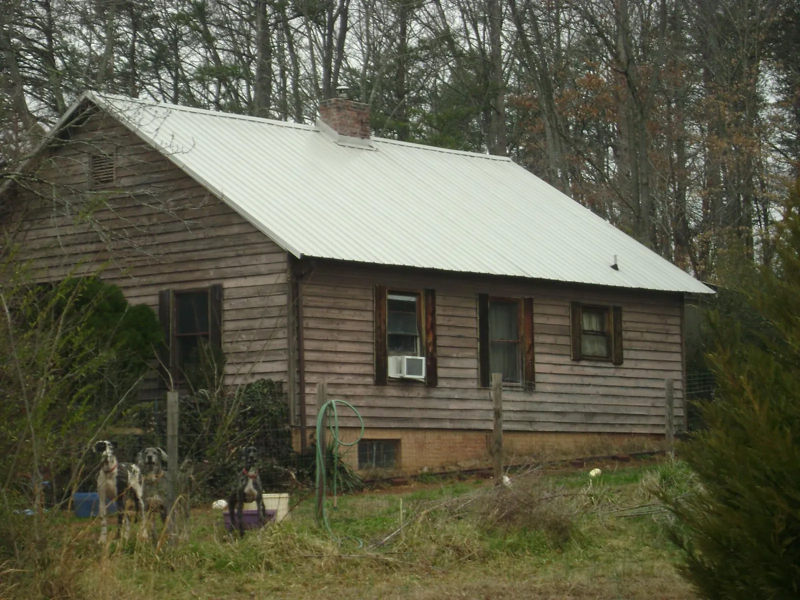 White metal roof on an old wood sided farmhouse, from a Metal Roof Installation job in Glenoma